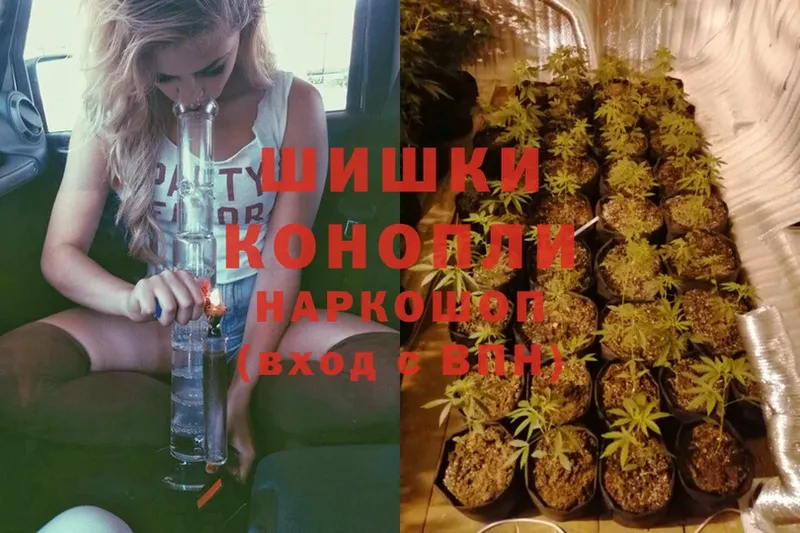 blacksprut сайт  Краснознаменск  Конопля Amnesia 